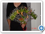 Imagen 2451