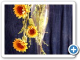 Imagen 2484