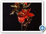 Imagen 2497