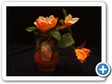 Imagen 2503