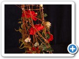 Imagen 2509