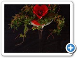 Imagen 2519
