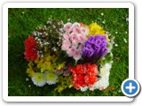 Imagen 253