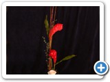 Imagen 2535