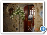 Imagen 2563