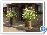 Imagen 2567