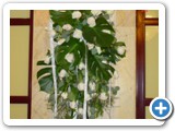 Imagen 2583