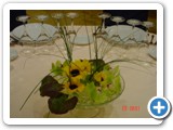 Imagen 2593