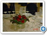 Imagen 2594