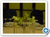 Imagen 2596