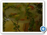 Imagen 2605