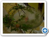 Imagen 2606