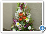 Imagen 283