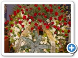 Imagen 315
