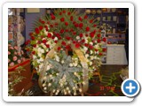 Imagen 316