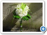 Imagen 327