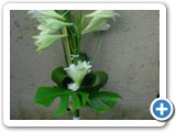 Imagen 332