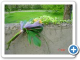 Imagen 337