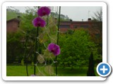 Imagen 380