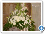 Imagen 407
