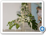 Imagen 410