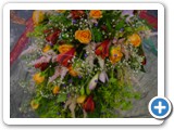 Imagen 415