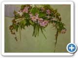 Imagen 438