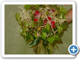 Imagen 440