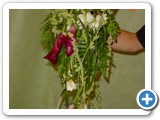 Imagen 445