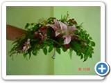 Imagen 469
