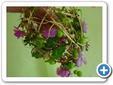 Imagen 470