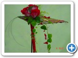 Imagen 510