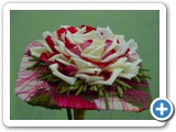 Imagen 553