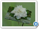 Imagen 560