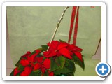 Imagen 587