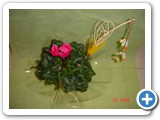 Imagen 601