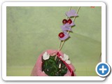 Imagen 603