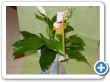 Imagen 605