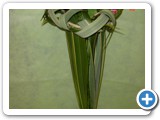 Imagen 609