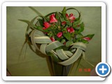 Imagen 610