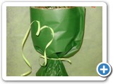 Imagen 623