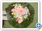 Imagen 628