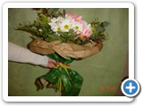 Imagen 629