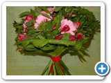Imagen 647