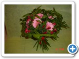 Imagen 648