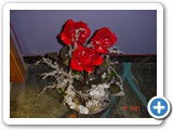 Imagen 701