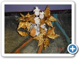 Imagen 711