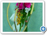Imagen 767