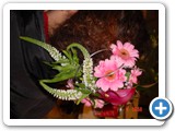 Imagen 770