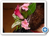 Imagen 772